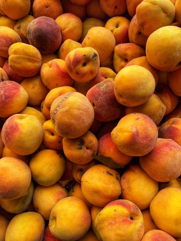 Comment vivre une expérience de pêche traditionnelle sur un lac en Finlande?